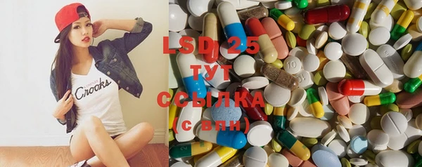 ГАЛЛЮЦИНОГЕННЫЕ ГРИБЫ Алексин